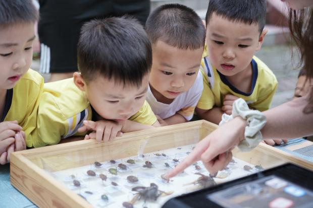 文件名称:image5.jpeg原图大小:NaNGB